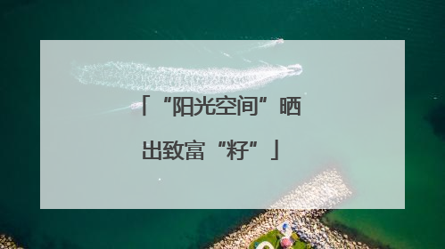 “阳光空间”晒出致富“籽”